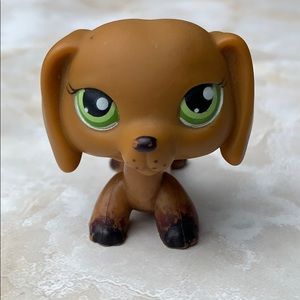 Littlest pet shop • Dachshund